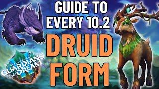 Every New Druid Form in Patch 10.2 And How to Get Them  World of Warcraft  Dragonflight