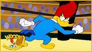 Woody Woodpecker Show  The Contender  1 Hour Compilation  Videos For Kids