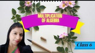 How to do Multiplication  Algebra  Class 6 Maths Selina ICSE