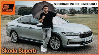 Škoda Superb im Test 2024 So scharf ist die Limousine Fahrbericht  Review  Selection  Preis