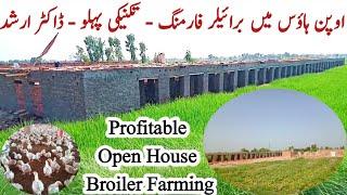 Open House Broiler Farming in Pakistan  Broiler Farming Business  Dr. ARSHAD