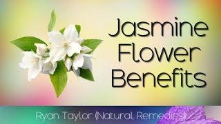 Jasmine Flower Benefits and Uses