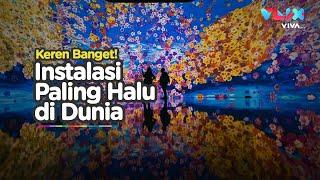 Pameran Seni Paling Warbiasa Bikin Tenang di Tengah Pandemi