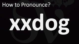 How to Pronounce xxdog? CORRECTLY