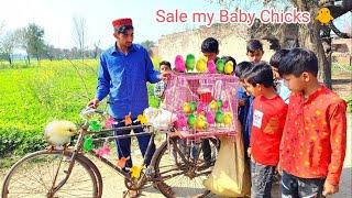 Sale My Baby Chicks  In Village  Start New Business  Amish Sidhu Vlogs