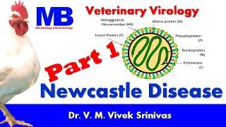 NEWCASTLE DISEASE  Part 1  Microbiology  Vivek Srinivas   #Veterinaryscience #Poultrydisease