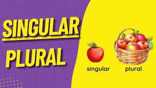 İNGİLİZCE TEKİL - ÇOĞUL KONU ANLATIMI  SINGULAR AND PLURAL NOUNS  - s es and ies