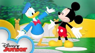 Its Donald Ducks Birthday   Mickey Mouse Clubhouse  @disneyjr