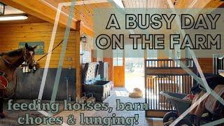 A Busy Day on the Farm • Feeding Horses Lunging & Barn Chores  EQUESTRIAN VLOG