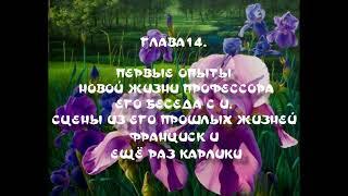 Глава 14  ПЕРВЫЕ ОПЫТЫ НОВОЙ ЖИЗНИ ПРОФЕССОРА  ЕГО БЕСЕДА С И  СЦЕНЫ ИЗ ЕГО ПРОШЛЫХ ЖИЗНЕЙ  ФРАНЦИСК