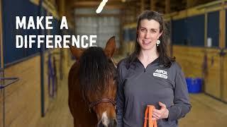 Learn about Horse Adoption