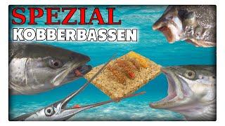 SPEZIAL-Set Kobberbassen  - die Geheimwaffe auf Meerforelle Plattfisch und Hornhecht