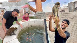 Monkey Ko Mini Zoo Le Aya Sab Dekh K Bht Khush Hogae