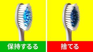 毎日使用するありふれた物の秘密の生活