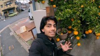 Japani Orange  Indian in Japan  Vinay Vlogs #livinginjapan #dailyvlog