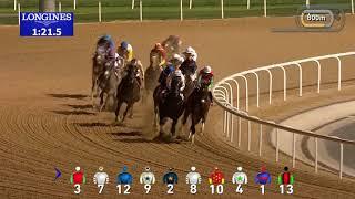 2019 Dubai World Cup Race Replay