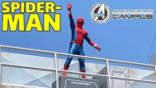 Spider-Man Soars Through The Skies Above Avengers Campus