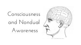 Consciousness and Nondual Awareness