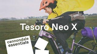 An Electric Bike That Does It All the Cannondale Tesoro Neo X  Cannondale Essentials