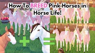 How To Breed PINK Colors in Horse Life Updated for New Players
