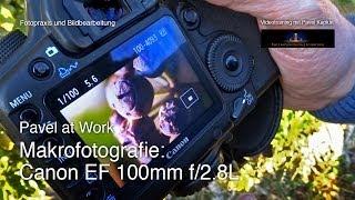 Makrofotografie mit Canon EF 100mm f2.8 L