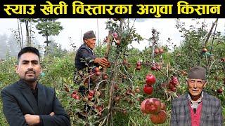 ब्राबल गाउँको स्याउ खेती विस्तारमा देंडुप तामाङको योगदान - Apple farming