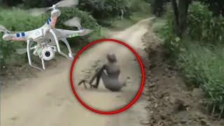 5 Video Sightings of strange creatures caught on camera