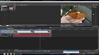 Sony Vegas Pro - что делать если блекнет светлеет или темнеет цвет после рендеринга