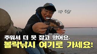 핫한 볼락 낚시  너무 추워 더 못 잡고 왔어요 #볼락낚시