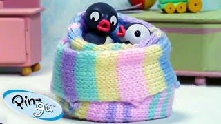 Pingu Gets Creative   Pingu - Official Channel  Cartoons For Kids