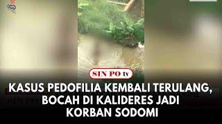 Kasus Pedofilia Kembali Terulang Bocah Di Kalideres Jadi Korban Sodomi