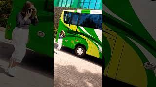 Bus Sekolah Bis Mania Bus Parking Bus Pariwisata