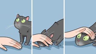 Artist Illustrates What It’s Like To Live With A Cat