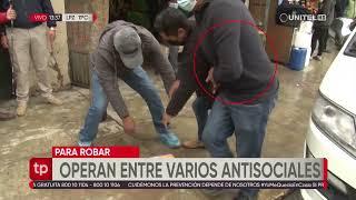 Video Así roban los delincuentes en los mercados y micros