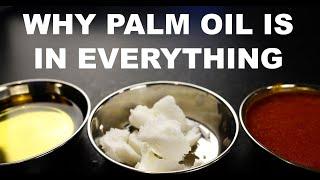 Why palm oil is in everything and why thats bad