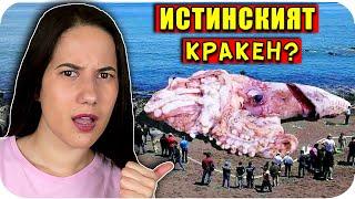 ТОП 10 НЕВЕРОЯТНИ МОРСКИ ЖИВОТНИ за които НЕ ЗНАЕТЕ