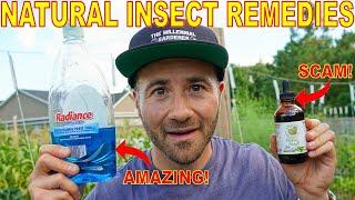 This Organic Pest Control Remedy Is A SCAM 3 Natural Insecticides That WORK And One That DOESNT