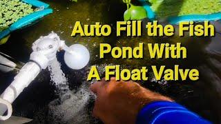 Installing Float Valve To Auto Fill The Pond