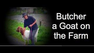 Butchering a Goat - Safety Methods & Purpose