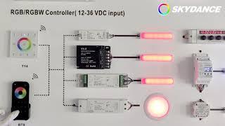 SKYDANCE  RGBRGBW Series Lighting Control Express