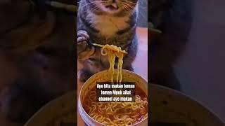 kucing pintar bisa makan mie pakai sumpit #kucing #cat