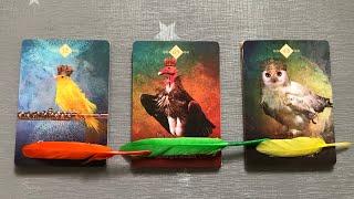 Pick a Card  ‍Career Messages for You  Timeless  Teacup Tarot ️