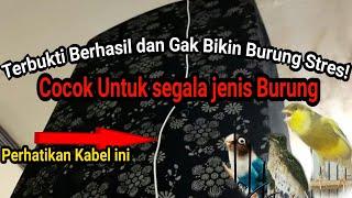 Cara Mastering Segala Jenis Burung Paling Banyak di cari Orang 