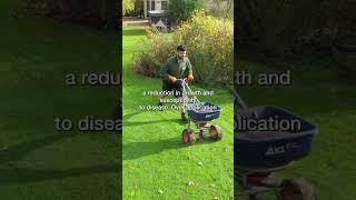 WHATS IN LAWN FERTILISER  PART 1 - NITROGEN