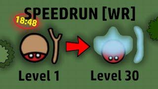 Swordz.io - Speedrun to level 30 WR 1M Score in 1848