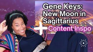 New Moon in Sagittarus 12 12 Artfulness - Returning to Resource {LIGHT} Gene Key 26