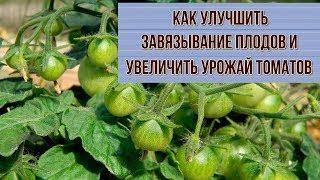 ПОДКОРМКА ПОМИДОР ВО ВРЕМЯ ЦВЕТЕНИЯ ДЛЯ УВЕЛИЧЕНИЯ  УРОЖАЯ. ГЛАВНЫЙ СЕКРЕТ СУПЕР УРОЖАЯ