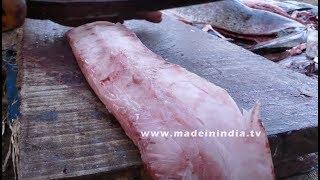 40kgs Bat Fish Cutting  Amazing Fast Fish Cutting street food