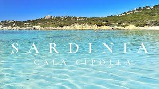 Cala Cipolla la spiaggia selvaggia di Chia  Sardegna 2023