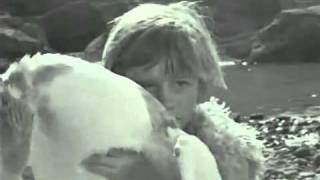 MIKRES_APHRODITES_1963_Greece_Film_by_Nikos_Koundouros_HD CLIP